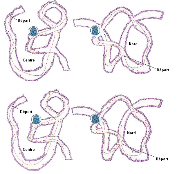 Image de l'itinéraire idéal dans la quête des papillons