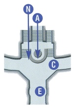 Carte de Luca