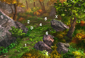 Image de la forêt clôturée avec les points où siffler