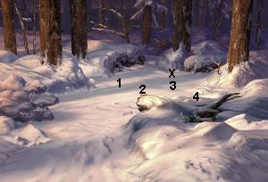 Image de la forêt des novices avec les points où siffler
