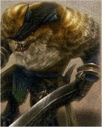 Final Fantasy 12 / bestiaire / Loup garou