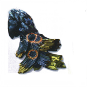 Final Fantasy 13-2 / bestiaire / Genséric, poing de