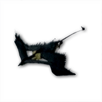 Final Fantasy 15 / bestiaire / Bénou