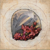 Carapace d'adamankhélone