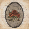 Enseigne des Lames de la rose