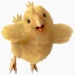 Avatar de XtenDx