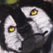 Avatar de Zéphyr