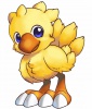 Avatar de Chocobo