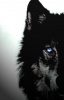 Avatar de Swe3tangel