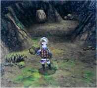 Image de FFIII DS